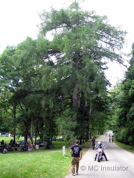 joge_02.jpg - [fi]Hä®ski haahuilee Jõgevassa[en][ru]