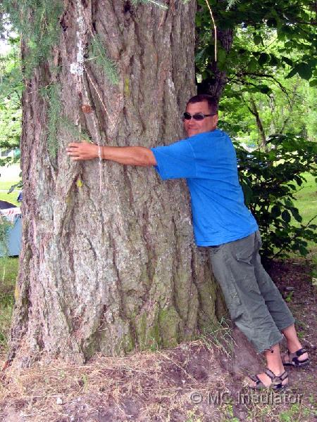 joge_03.jpg - [fi]Puun halaaja...[en][ru]