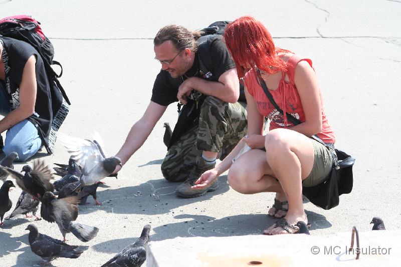 IMG_3652.JPG - [fi] [en] [ru]